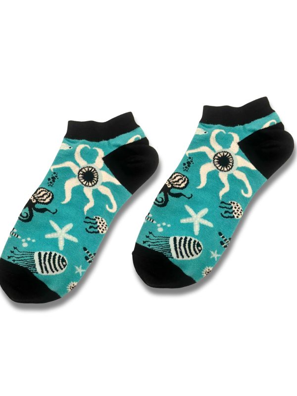 Reef Flow