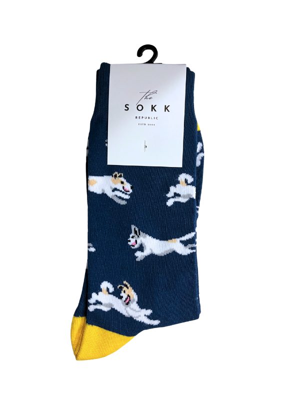 Blue and White Doggy Socks